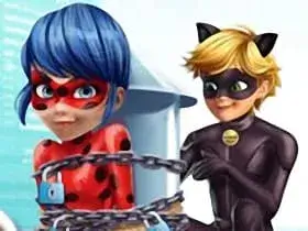 Cat Noir Rescue