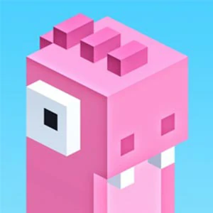 Rayi Fox Adventure Run